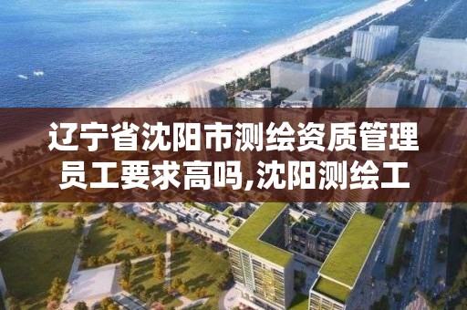 遼寧省沈陽市測繪資質管理員工要求高嗎,沈陽測繪工程師招聘。