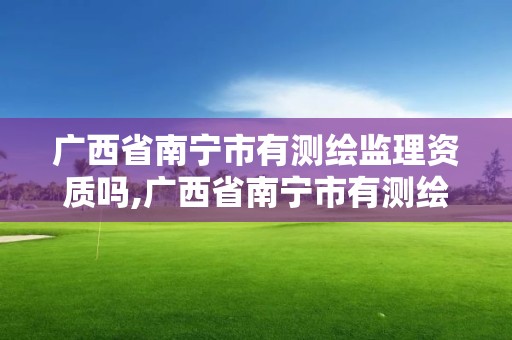 廣西省南寧市有測繪監理資質嗎,廣西省南寧市有測繪監理資質嗎在哪里