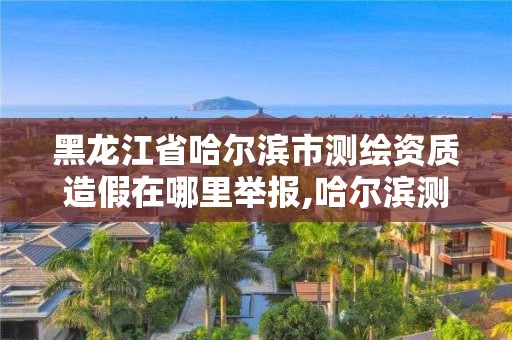 黑龍江省哈爾濱市測繪資質造假在哪里舉報,哈爾濱測繪局是干什么的。