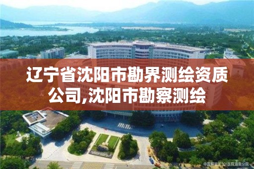 遼寧省沈陽市勘界測繪資質公司,沈陽市勘察測繪