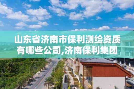 山東省濟南市保利測繪資質有哪些公司,濟南保利集團有限公司