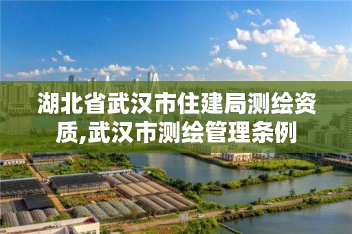 湖北省武漢市住建局測繪資質,武漢市測繪管理條例