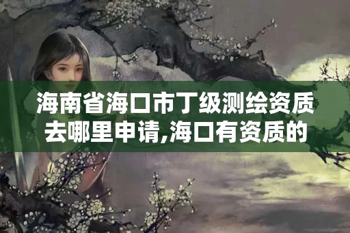 海南省海口市丁級測繪資質去哪里申請,海口有資質的測繪公司