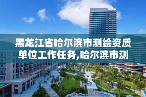 黑龍江省哈爾濱市測繪資質單位工作任務,哈爾濱市測繪院