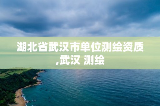 湖北省武漢市單位測繪資質(zhì),武漢 測繪