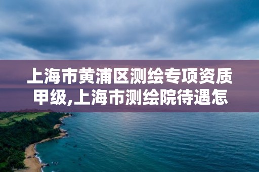 上海市黃浦區測繪專項資質甲級,上海市測繪院待遇怎么樣