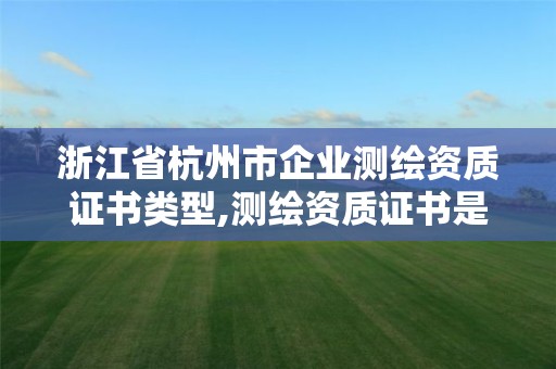 浙江省杭州市企業測繪資質證書類型,測繪資質證書是什么。