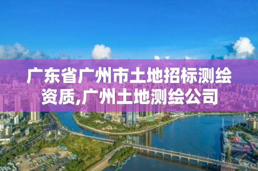 廣東省廣州市土地招標(biāo)測繪資質(zhì),廣州土地測繪公司