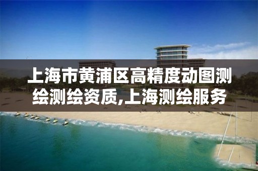 上海市黃浦區高精度動圖測繪測繪資質,上海測繪服務基準平臺