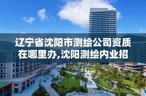 遼寧省沈陽市測繪公司資質在哪里辦,沈陽測繪內業招聘信息