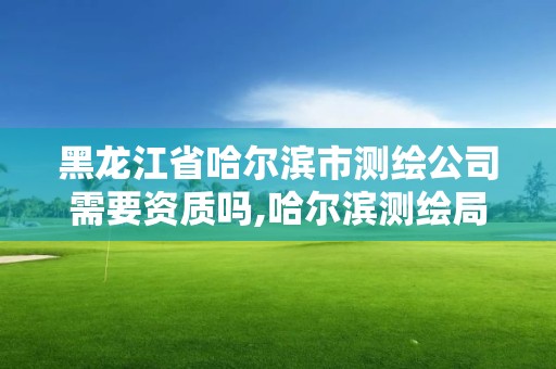 黑龍江省哈爾濱市測繪公司需要資質(zhì)嗎,哈爾濱測繪局幼兒園是民辦還是公辦