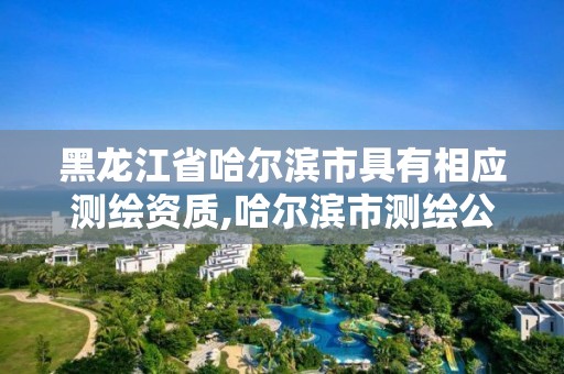 黑龍江省哈爾濱市具有相應測繪資質,哈爾濱市測繪公司