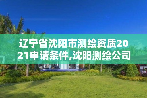 遼寧省沈陽市測繪資質2021申請條件,沈陽測繪公司招聘信息最新招聘