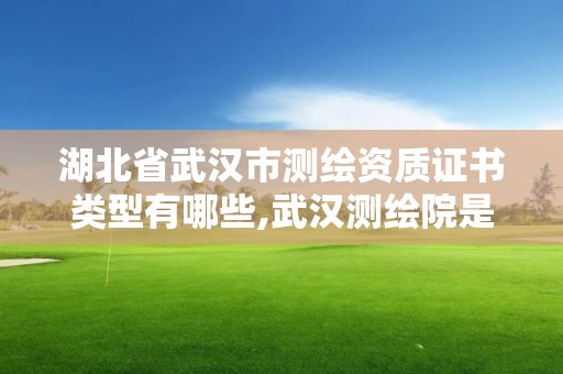 湖北省武漢市測繪資質證書類型有哪些,武漢測繪院是什么級別。