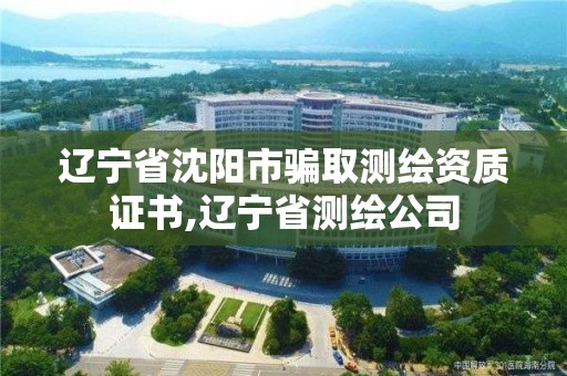 遼寧省沈陽市騙取測繪資質證書,遼寧省測繪公司