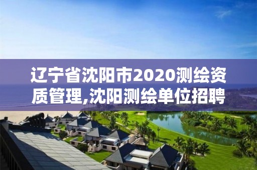 遼寧省沈陽(yáng)市2020測(cè)繪資質(zhì)管理,沈陽(yáng)測(cè)繪單位招聘