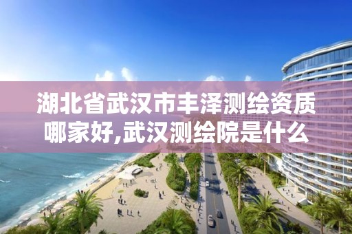 湖北省武漢市豐澤測繪資質哪家好,武漢測繪院是什么級別。