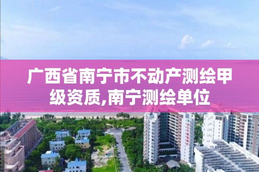 廣西省南寧市不動產測繪甲級資質,南寧測繪單位