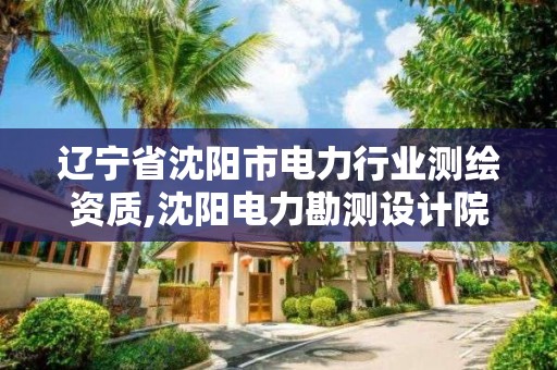 遼寧省沈陽市電力行業測繪資質,沈陽電力勘測設計院怎么樣