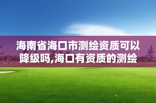 海南省海口市測繪資質可以降級嗎,?？谟匈Y質的測繪公司