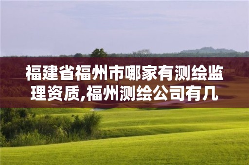 福建省福州市哪家有測繪監理資質,福州測繪公司有幾家。