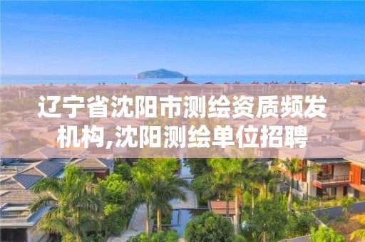 遼寧省沈陽市測繪資質頻發機構,沈陽測繪單位招聘