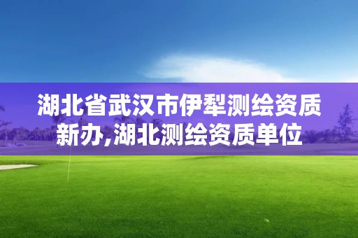 湖北省武漢市伊犁測(cè)繪資質(zhì)新辦,湖北測(cè)繪資質(zhì)單位