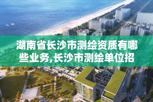 湖南省長沙市測繪資質有哪些業務,長沙市測繪單位招聘