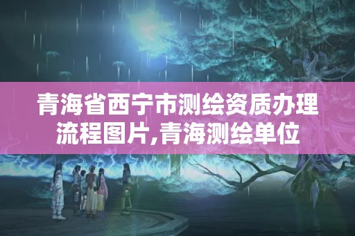 青海省西寧市測繪資質辦理流程圖片,青海測繪單位