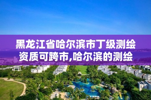 黑龍江省哈爾濱市丁級測繪資質(zhì)可跨市,哈爾濱的測繪公司有哪些