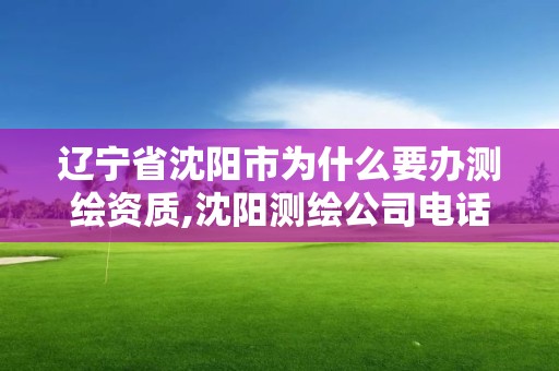 遼寧省沈陽市為什么要辦測繪資質,沈陽測繪公司電話