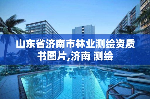 山東省濟南市林業測繪資質書圖片,濟南 測繪