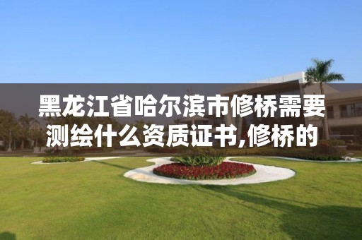 黑龍江省哈爾濱市修橋需要測繪什么資質證書,修橋的資質都有哪些。