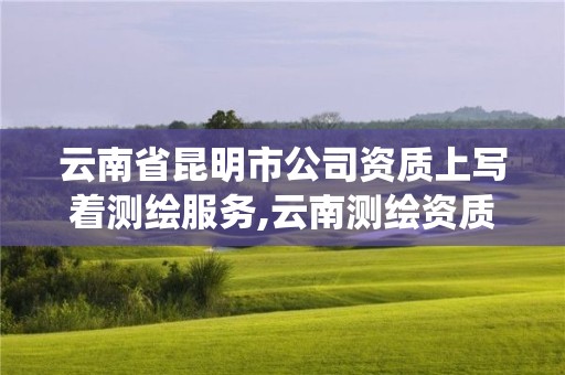 云南省昆明市公司資質上寫著測繪服務,云南測繪資質管理系統