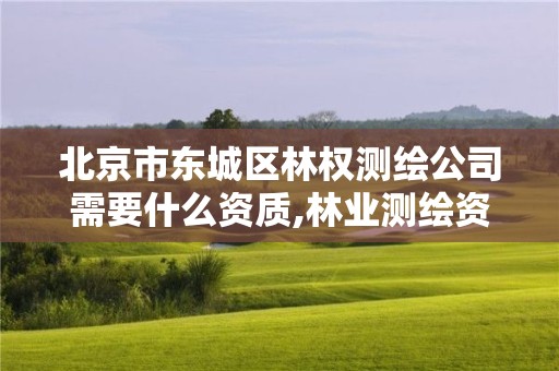 北京市東城區林權測繪公司需要什么資質,林業測繪資質哪里辦理。