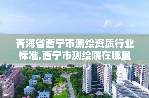 青海省西寧市測繪資質行業標準,西寧市測繪院在哪里