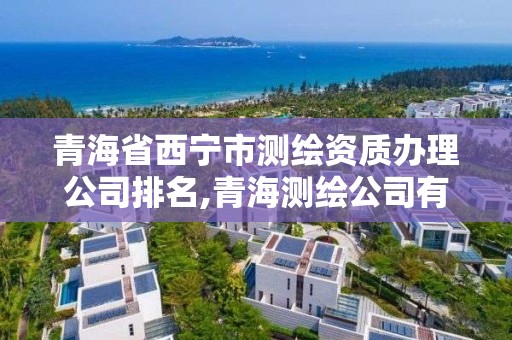 青海省西寧市測繪資質辦理公司排名,青海測繪公司有哪些