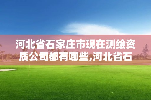 河北省石家莊市現(xiàn)在測繪資質(zhì)公司都有哪些,河北省石家莊市現(xiàn)在測繪資質(zhì)公司都有哪些