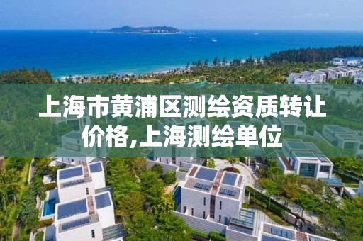 上海市黃浦區測繪資質轉讓價格,上海測繪單位