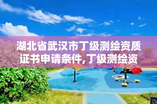 湖北省武漢市丁級測繪資質證書申請條件,丁級測繪資質人員要求。