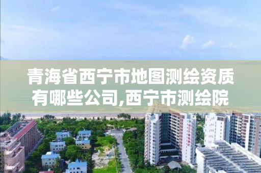 青海省西寧市地圖測繪資質有哪些公司,西寧市測繪院招聘公示。