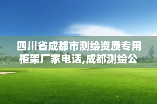 四川省成都市測繪資質專用柜架廠家電話,成都測繪公司收費標準。