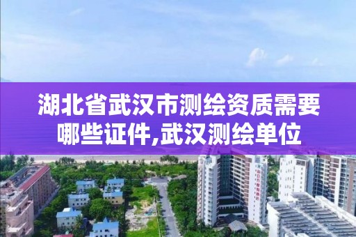 湖北省武漢市測繪資質需要哪些證件,武漢測繪單位