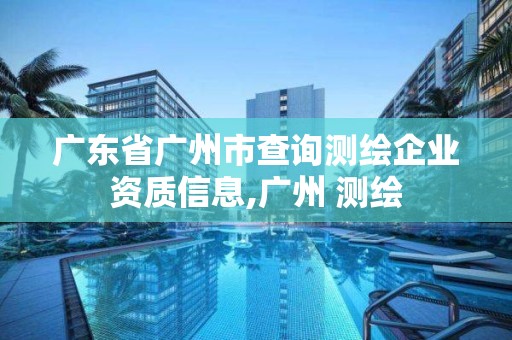 廣東省廣州市查詢測繪企業(yè)資質信息,廣州 測繪