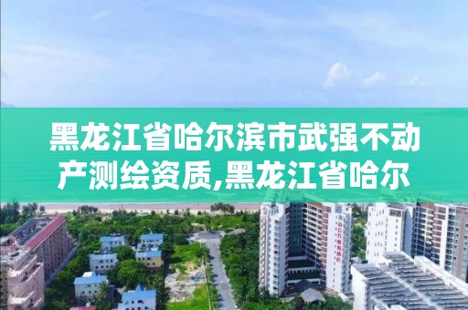 黑龍江省哈爾濱市武強不動產測繪資質,黑龍江省哈爾濱市測繪局。