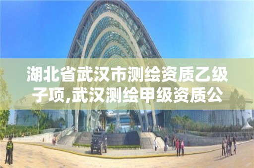 湖北省武漢市測繪資質乙級子項,武漢測繪甲級資質公司