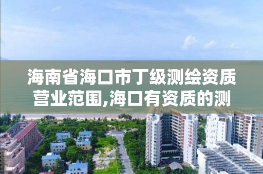 海南省海口市丁級測繪資質營業范圍,海口有資質的測繪公司