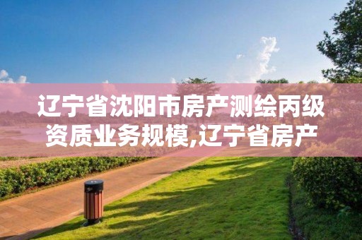 遼寧省沈陽市房產測繪丙級資質業務規模,遼寧省房產測繪收費標準。