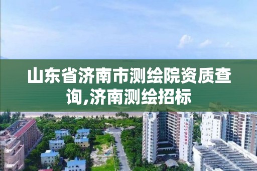 山東省濟南市測繪院資質查詢,濟南測繪招標