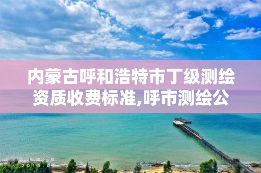 內蒙古呼和浩特市丁級測繪資質收費標準,呼市測繪公司